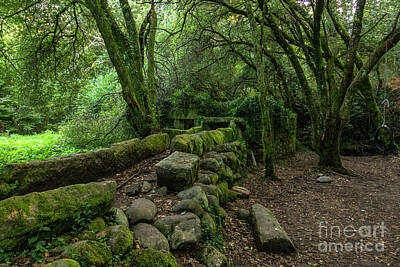 War Nursing Posters - Old mill in Rio da Fraga, Lush Atlantic forest in Galicia, Spain. by Perry Van Munster