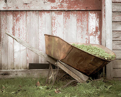 Superhero Ice Pop - Old Rusted Wheelbarrow by Cindy Shebley