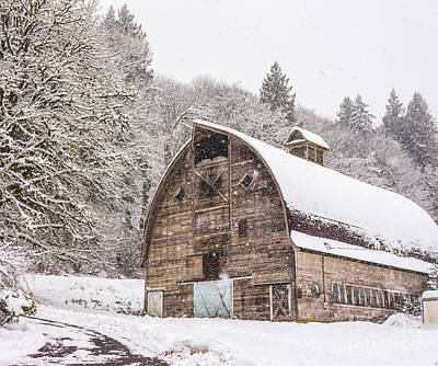 American Red Cross Posters Rights Managed Images - Old Snohomish Barn in the Snow Royalty-Free Image by Mike Reid