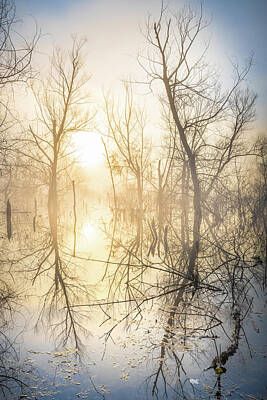 Abstract Landscape Photos - Ominous Trees In This Misty Lake by Jordan Hill