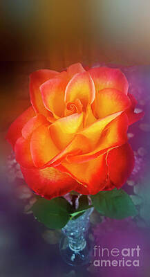 Animal Surreal - Opened Tahitian Rose Muse by Julieanne Case