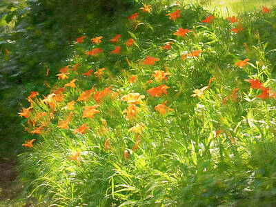 Lilies Photos - Daylilies In The Sun by Bellesouth Studio