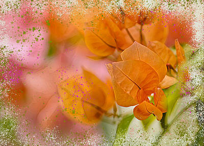 Lego Art Royalty Free Images - Orange Flower Abstract Royalty-Free Image by Cordia Murphy