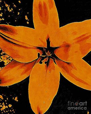 Lilies Digital Art - Orange Lily Flower Head Digital Artwork  by Douglas Brown