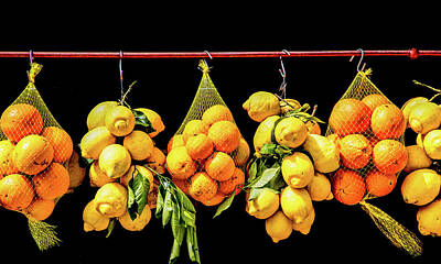 Elena Elisseeva Winter Trees Rights Managed Images - Oranges and Lemons Hanging in Market Royalty-Free Image by Darryl Brooks