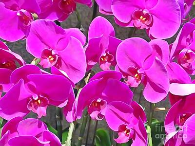 Target Threshold Photography - Orchids 512 by Select Photos