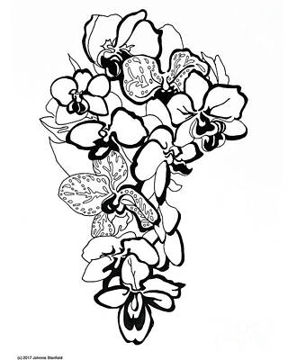 Floral Drawings Rights Managed Images - Orchids Royalty-Free Image by Johnnie Stanfield