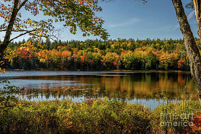 Achieving - Outstanding Autumn in Acadia by Elizabeth Dow