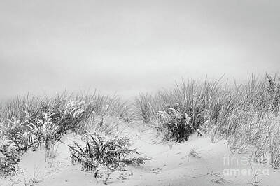 Keith Richards - Over the Beach Dunes - bw by Robert Anastasi