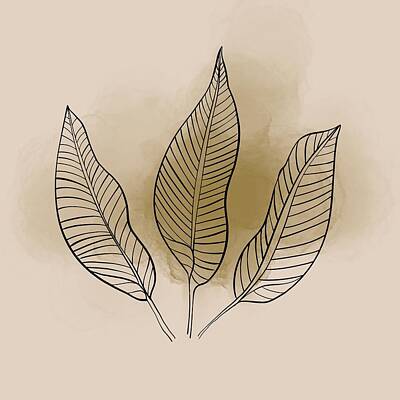 Royalty-Free and Rights-Managed Images - Owen - Minimal, Modern - Abstract Leaf Stalk Artwork by Studio Grafiikka