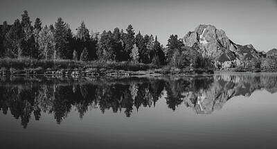 Reptiles Royalty Free Images - Oxbow Bend Black And White Reflection 2 Royalty-Free Image by Dan Sproul