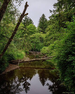Wilderness Camping Rights Managed Images - Ozette Lake 14 Royalty-Free Image by Mike Penney
