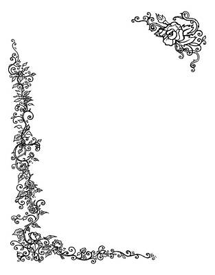 Roses Drawings - Page Border of Rose Vine by Katherine Nutt