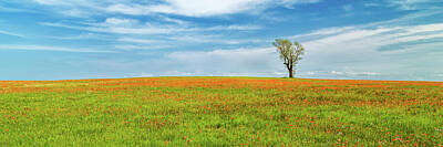 Lime Art - Paintbrush And A Lone Tree Panorama by James Eddy