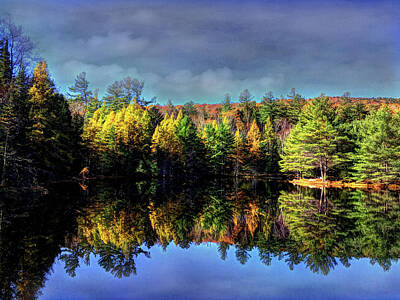 Target Eclectic Nature - Painted Beaver Pond on Orris Road by Wayne King