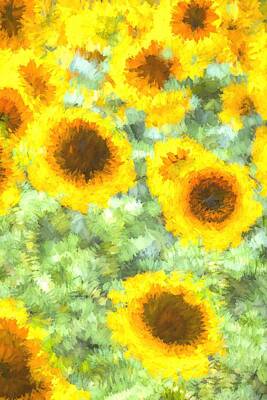 Impressionism Photo Royalty Free Images - Painterly Sunflowers Royalty-Free Image by David Pyatt