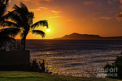 Rusty Trucks - Palm Tree Kissed at Sunset from Portlock Hawaii by Phillip Espinasse