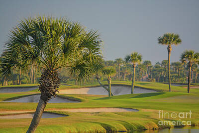 Fun Patterns - Palm trees at the golf course on Lake Vedra. Ponte Vedra Beach, Florida by Norm Lane
