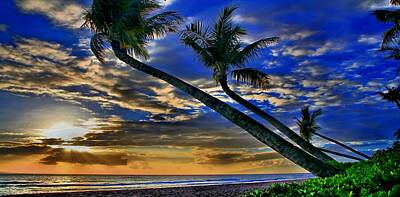 Route 66 Royalty Free Images - Palms of Kaanapali Royalty-Free Image by DJ Florek