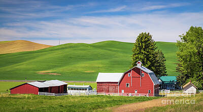 Royalty-Free and Rights-Managed Images - Palouse Farm Panorama by Inge Johnsson