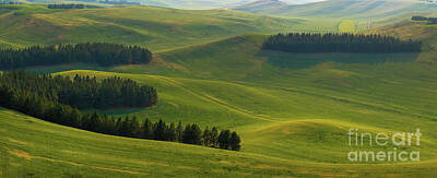 Grimm Fairy Tales Royalty Free Images - Palouse Green Meadows Royalty-Free Image by Mike Reid