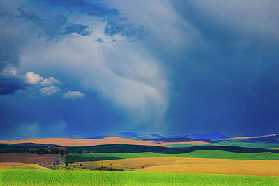 Landscapes Royalty-Free and Rights-Managed Images - Palouse Patterns by David Patterson