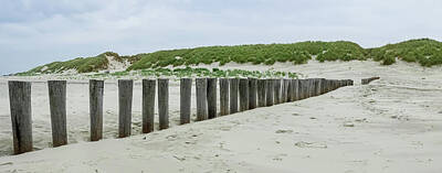 Love Marilyn - Panoramic view of wooden breakwater along the Dutch coast of Ameland by Tosca Weijers