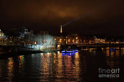 Mother And Child Animals - Paris. Night winter cityscape with Seine river and illuminated Eiffel tower. by Elena Dijour