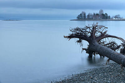 Mellow Yellow Rights Managed Images - Parksville Bay Blue Hour Royalty-Free Image by Randy Hall