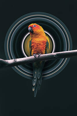 Birds Digital Art - Parrot Pixel Stretch by Pelo Blanco Photo