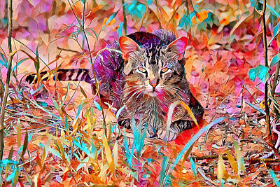 Farmhouse - Peaceful Cat Colorful Portrait by Gaby Ethington