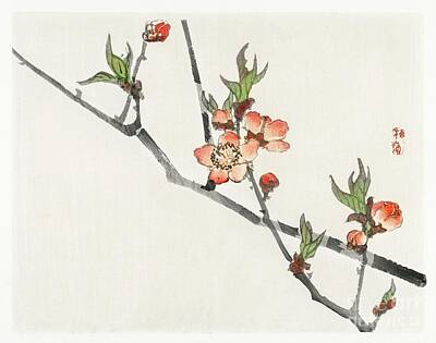 Recently Sold - Roses Paintings - Peach by Kono Bairei  by Shop Ability