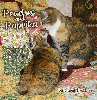 Cities Digital Art Royalty Free Images - Peaches and Paprika Cover Art for Published Book Royalty-Free Image by Carol Lowbeer