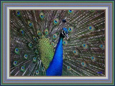 Food And Flowers Still Life - Peacock Splendor L A S - With Printed Mats And Printed Frame. by Gert J Rheeders
