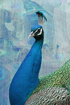 Target Threshold Photography - Peacock with Interesting Textures by Carol Groenen
