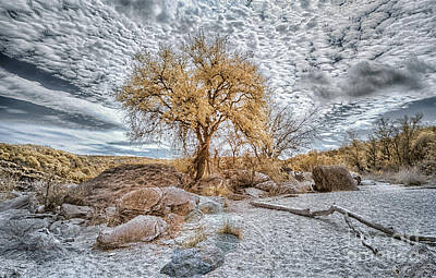 Time Covers - Pedernales River Bed in Infrared by Norman Gabitzsch