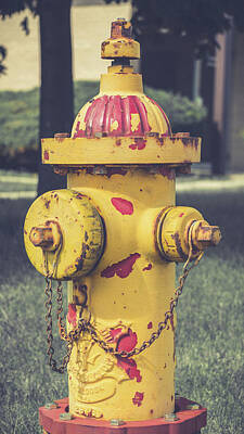 Minimalist Childrens Stories Rights Managed Images - Peeling Yellow Hydrant Royalty-Free Image by Enzwell Designs