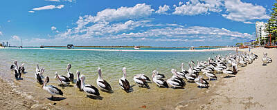 Landscapes Kadek Susanto - Pelican Shores by Az Jackson