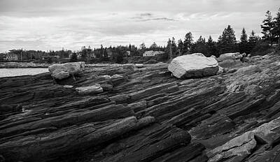 Target Eclectic Global - Pemaquid Rocks Black And White by Dan Sproul