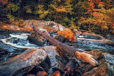 Fine Dining - Pemigewasset river in NH 7 by Lilia S