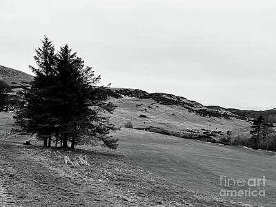 The Rolling Stones Rights Managed Images - Pentland Hills Edinburgh Scotland in Monochrome pr007 Royalty-Free Image by Douglas Brown