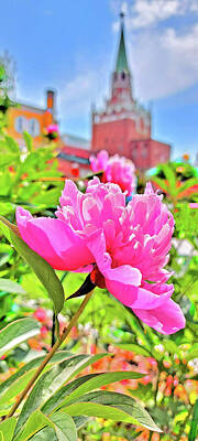 Travel Pics Rights Managed Images - Peonies. Alexander Gardens. Borovitskaya Tower. Royalty-Free Image by Andy i Za
