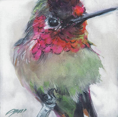 Recently Sold - Animals Paintings - Perched Annas Hummingbird by Jani Freimann