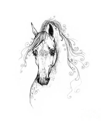 Animals Drawings - Piaff polish arabian horse drawing by Ang El