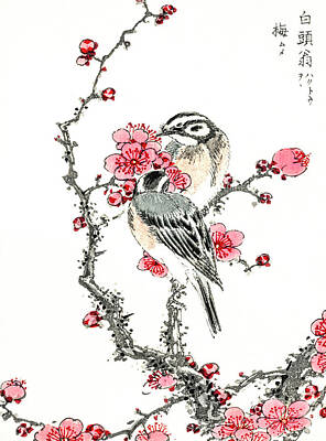Quotes And Sayings - Pine Bunting and Plum Tree by Numata Kashu
