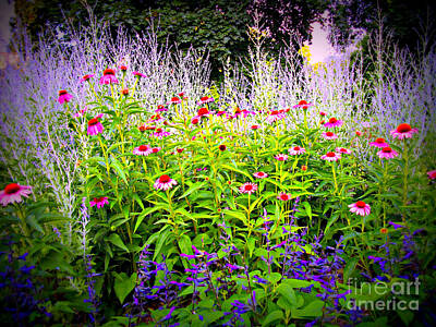 Superhero Ice Pops - Pink Flowers in the Garden - Lomography by Frank J Casella
