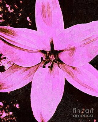 Lilies Digital Art - Pink Lily Flower Head Digital Artwork  by Douglas Brown
