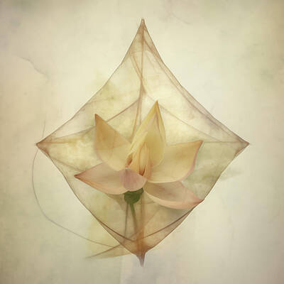 Coy Fish Michael Creese Paintings Royalty Free Images - Pink Lotus Flower Tetrahedron Royalty-Free Image by Yo Pedro