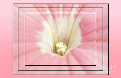 Easter Bunny - Pink Petunia by Debbie Lind