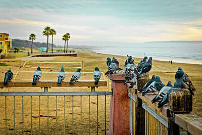 Ingredients Rights Managed Images - Pismo Beach - The Lookouts Royalty-Free Image by William Towner